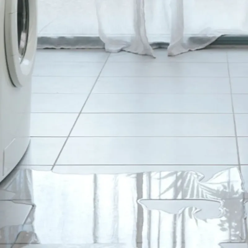 Appliance Leak Cleanup in Donna, TX