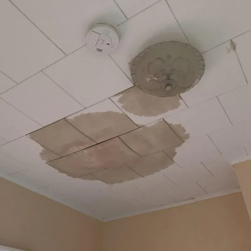 Ceiling Water Damage Repair in Donna, TX